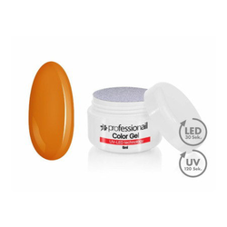 FAREBNÝ LED-UV GÉL 5ML PROFESSIONAIL™ BUTTERSCOTCH