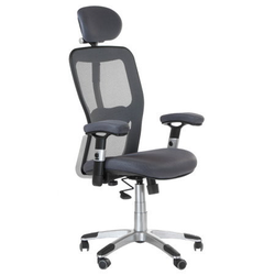 Ergonomická židle CorpoComfort BX-4147 Grey