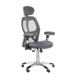 Ergonomická židle CorpoComfort BX-4144 Grey