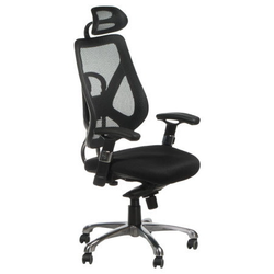 Ergonomická židle CorpoComfort BX-W4310 Black