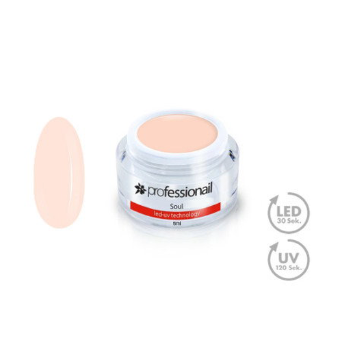 FAREBNÝ LED-UV GÉL 5ML PROFESSIONAIL™ SOUL